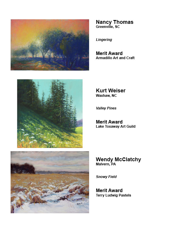 National newsletter 2014 awards3