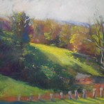Tooley's sun9x12