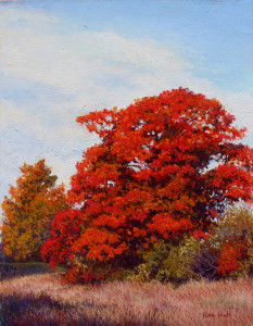 The Sugar Tree e